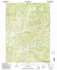 Sterling Creek 1996 topographic map thumbnail