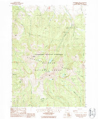 Strawberry Mtn 1988 topographic map thumbnail