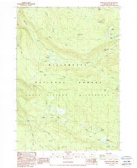 Substitute Point 1988 topographic map thumbnail