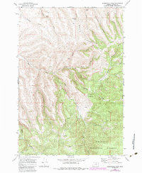 Summerfield Ridge 1969 topographic map thumbnail