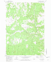 Suplee Butte 1981 topographic map preview