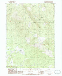 Surveyor Mountain 1985 topographic map thumbnail
