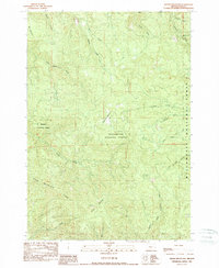 Swamp Mountain 1989 topographic map thumbnail