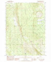 Swan Lake Point 1985 topographic map thumbnail