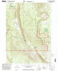 Swan Lake Point 1998 topographic map thumbnail