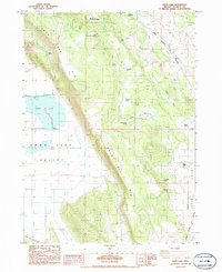 Swan Lake 1985 topographic map thumbnail