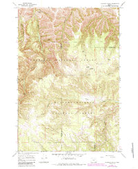 Tamarack Gulch 1967 topographic map thumbnail