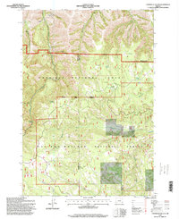 Tamarack Gulch 1995 topographic map preview