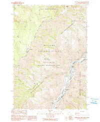 Temperance Creek 1990 topographic map thumbnail