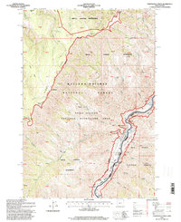 Temperance Creek 1995 topographic map thumbnail