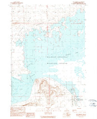 The Narrows 1990 topographic map thumbnail