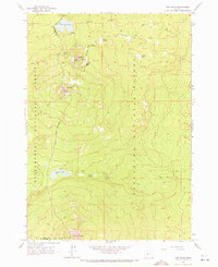 The Twins 1963 topographic map preview