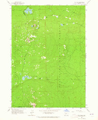 The Twins 1963 topographic map preview
