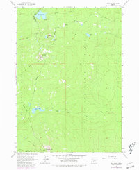 The Twins 1963 topographic map preview