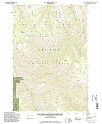Thimbleberry Mountain 1995 topographic map preview