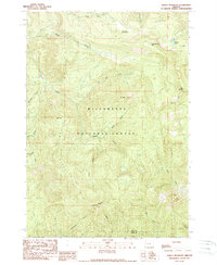 Tidbits Mountain 1989 topographic map thumbnail