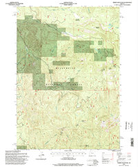 Tidbits Mountain 1994 topographic map thumbnail