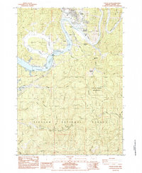 Toledo South 1984 topographic map thumbnail