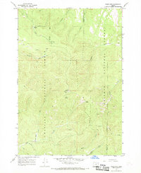 Tower Mtn 1967 topographic map preview