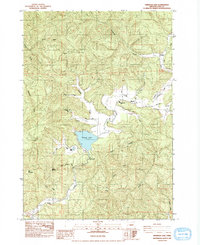 Triangle Lake 1984 topographic map thumbnail