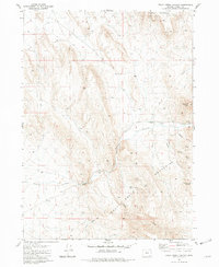 Trout Creek Canyon 1981 topographic map thumbnail