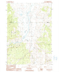 Trout Creek 1990 topographic map thumbnail