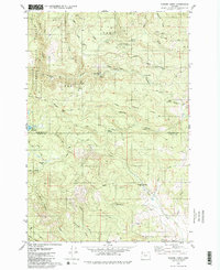 Turner Creek 1979 topographic map thumbnail