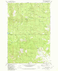 Turner Creek 1979 topographic map thumbnail