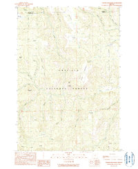 Turner Mountain 1990 topographic map thumbnail