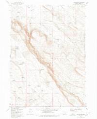 Twin Buttes 1980 topographic map thumbnail