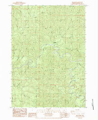 Twin Sisters 1984 topographic map thumbnail