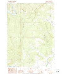 Tyee Mountain 1987 topographic map thumbnail