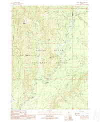 Union Creek 1989 topographic map thumbnail