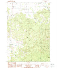 Union Point 1988 topographic map thumbnail
