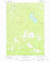 Valsetz 1974 topographic map thumbnail