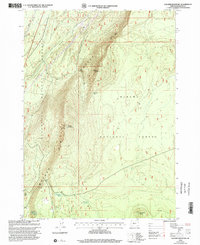 Walker Mountain 1999 topographic map thumbnail