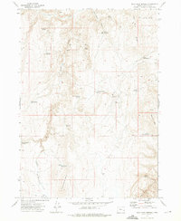 Wall Rock Springs 1972 topographic map thumbnail