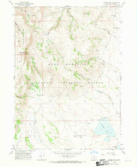 Warner Peak 1967 topographic map thumbnail