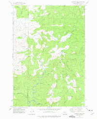 Warnicke Creek 1974 topographic map thumbnail