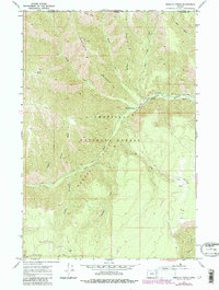 Wenaha Forks 1967 topographic map thumbnail