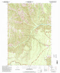 Wenaha Forks 1995 topographic map thumbnail