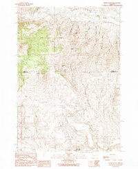 Wendt Butte 1990 topographic map thumbnail