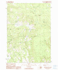 West Myrtle Butte 1990 topographic map thumbnail