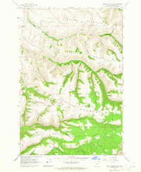 Weston Mountain 1964 topographic map thumbnail