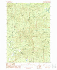 Whetstone Point 1989 topographic map preview