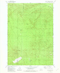 Wickiup Spring 1981 topographic map thumbnail