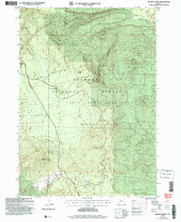 Wickiup Spring 2004 topographic map thumbnail