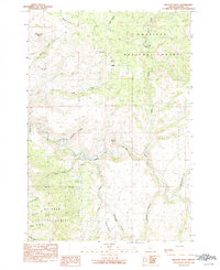 Wildcat Point 1990 topographic map thumbnail