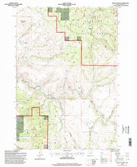 Wildcat Point 1995 topographic map thumbnail