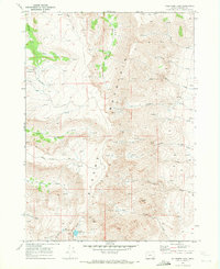 Wildhorse Lake 1968 topographic map thumbnail